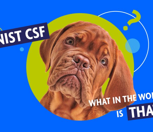 Where Do Cybersecurity Principles Come From? NIST CSF