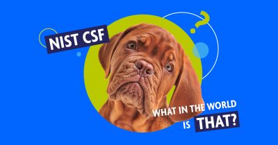 Where Do Cybersecurity Principles Come From? NIST CSF